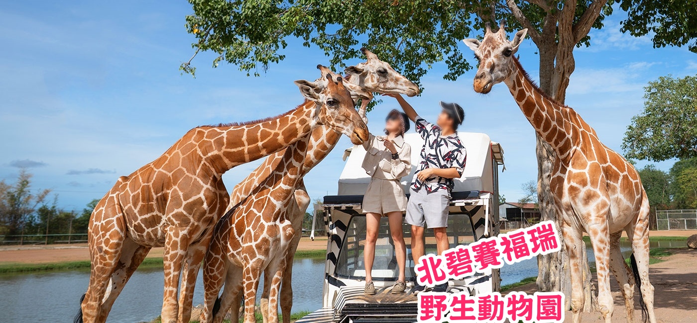 北碧府野生動物園Safari Park