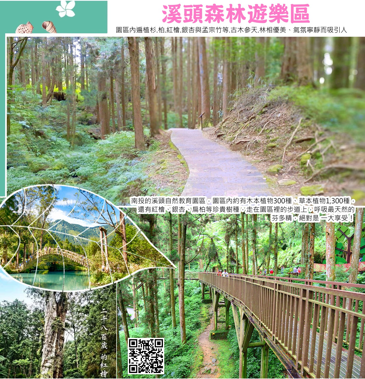 溪頭森林遊樂區內通往溪頭神木的林道旁擁有一片已走過半世紀的柳杉林，其樹冠層相當完整，森林中各種生物包羅萬象，彷彿進入生態王國；實驗林精心規劃建置別出心裁的人工林冠層生態觀察的空中走廊，架高的空中走廊全長約180公尺，最高點距地面22.6公尺，相當於8層樓高。樹上著生蕨類與蘭科等植物，同時常有白耳畫眉、冠羽畫眉、黃腹琉璃及赤腹松鼠等動物在此棲息，其使得冠層的生物相非常豐富；而林木冠層更可提供截流保水及潔淨空氣的功能，是大自然提供人類的空氣清淨機。溪頭森林遊樂區內，走在溪頭空中走廊步道上可端倪尖聳的針葉樹，使人們對於森林冠層不再只是「遠觀」，透過面對面的接觸，讓一般印象中高聳的森林，頓時置身於冠層中、居高臨下，可從不同角度欣賞森林不同的姿態，更可仔細觀察寄居在樹上的朋友們。特別當山中雲霧繚繞、山嵐升起時，除了讓人有置身畫境的感受外，也帶來一種心靈深邃的洗滌。