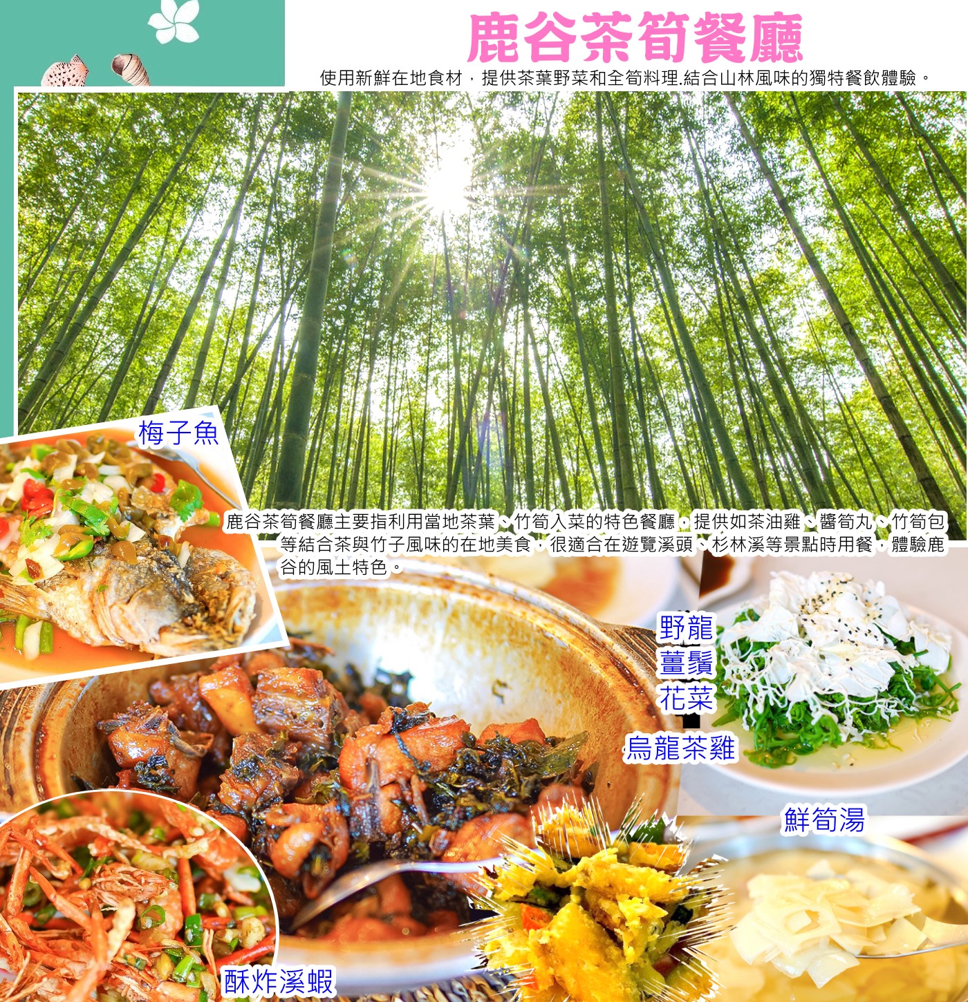 綠色旅遊:溪頭芬多精、杉林溪四季風情、大崙山茶園二日 南投(日月潭/溪頭/清境)杉林溪充滿原始森林風光的，四季各有不同花卉景緻，美不勝收，大崙山地區一整片的烏龍茶田，田中的小徑彷彿與世隔絕般的寧靜；漫步在景觀步道、登上觀景台，一整片的雲霧茶田